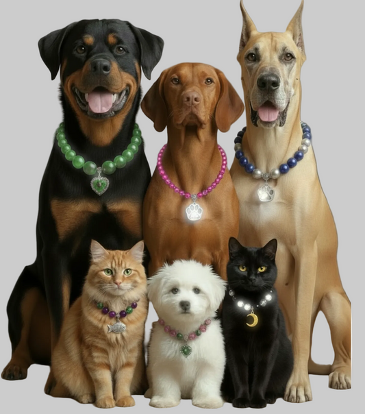 Custom Pet Necklace - Made to Order